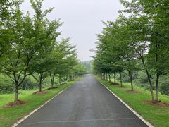 -宜兴龙背山森林公园