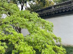 -秋霞圃