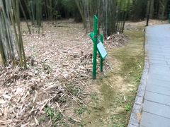 -大屏嶂森林公园