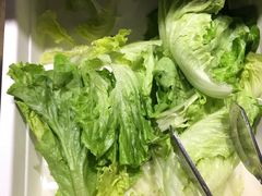 生菜-欢乐牧场(T12店)