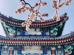 -颐和园