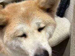 -YCHL Studios健身工作室(市二宫店)