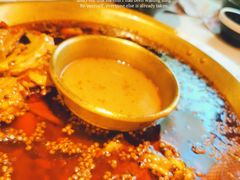 -哥老官重庆美蛙鱼头(日月光店)