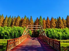 -黄海国家森林公园