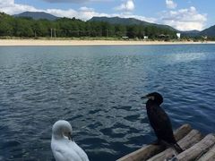 -楠溪江风景名胜区