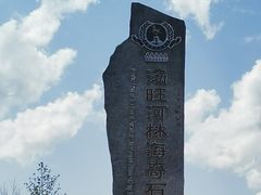 -汤旺河林海奇石景区