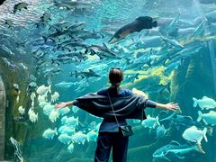 -波塞冬旅游度假区