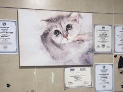 -谐和益家动物医院·免疫绝育·血液透析·宠保定点医院(高新伊藤分院)