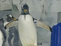 -南昌海洋公园