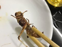 炸蚂蚱-铁锅炖灶台鱼老三炖鱼馆