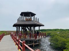 -北海金海湾红树林生态旅游区