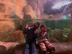 -沈阳海洋探索中心