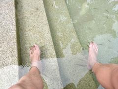 -咸宁万豪温泉谷度假区