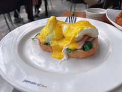 班尼迪克-JamaicaBlue(新城国际店)