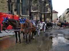 -斯蒂芬主教座堂(Stephansdom)