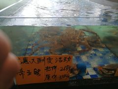 水产区-老伙记海鲜码头(北滘店)