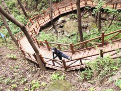 -大岭沟猕猴桃谷风景区