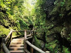 -青城山