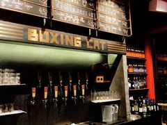 -Boxing Cat Brewery拳击猫精酿啤酒馆(永福店)