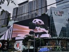 -合景·悠方(成都店)