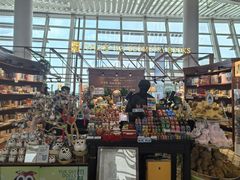 -厦门高崎国际机场-T4航站楼