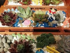 -密讯馆密室逃脱&换装侦探剧(环球港旗舰店)