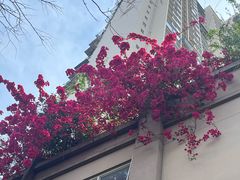 -守英猪脏粉(仓桥街店)