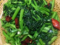 茼蒿-昆虫窝子·特色云南菜(拓东路总店)