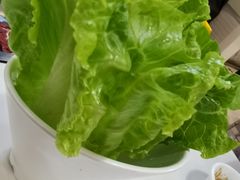 生菜-陈记顺和潮汕牛肉火锅(番禺迎宾大道店)