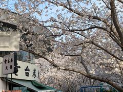-锦江乐园(地铁站)