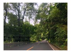 -峨眉山报国寺