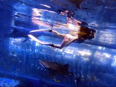 -成都浩海立方海洋公园