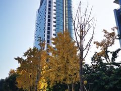 -百林公园-两江幸福广场