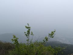 -北京西山国家森林公园