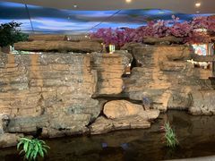 -沈阳龙润夏宫温泉水乐园