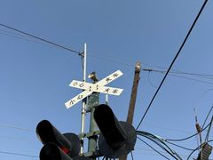 -托克逊老四号餐厅