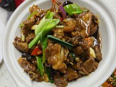 红焖东山羊-墨脱石锅椰子鸡•香草鸭•东山羊(大东海店)