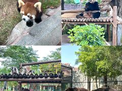 -灵玲国际马戏城