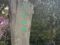 -溱湖国家湿地公园