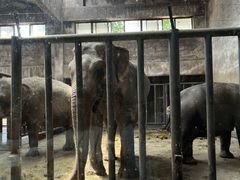 -石家庄市动物园