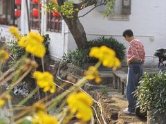 -天然居(伦教店)