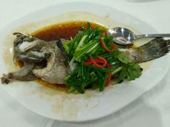 老虎斑-明香海鲜酒家(华强北店)