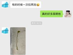 -宠物之家Pets Home 宠物寄养酒店