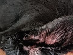 -美联众合24小时·皮肤科·外科·全科诊疗中心(华苑分院)