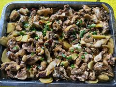 -海鸥岛河景湖大排档