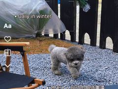 -J Create城市露营咖啡·简餐·宠物(上海动物园店)