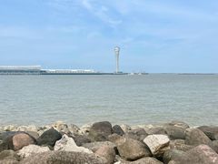 -上海吴淞炮台湾国家湿地公园