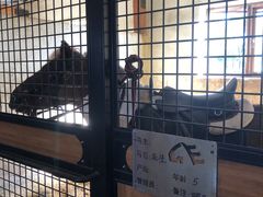 -北京群众马术培训基地