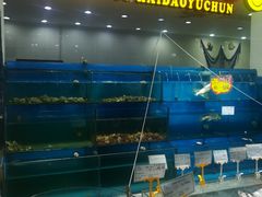 -海岛渔村大酒店(云霄路店)