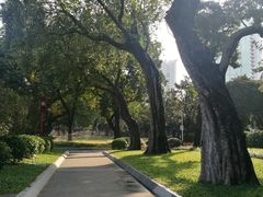 -广州中山纪念堂